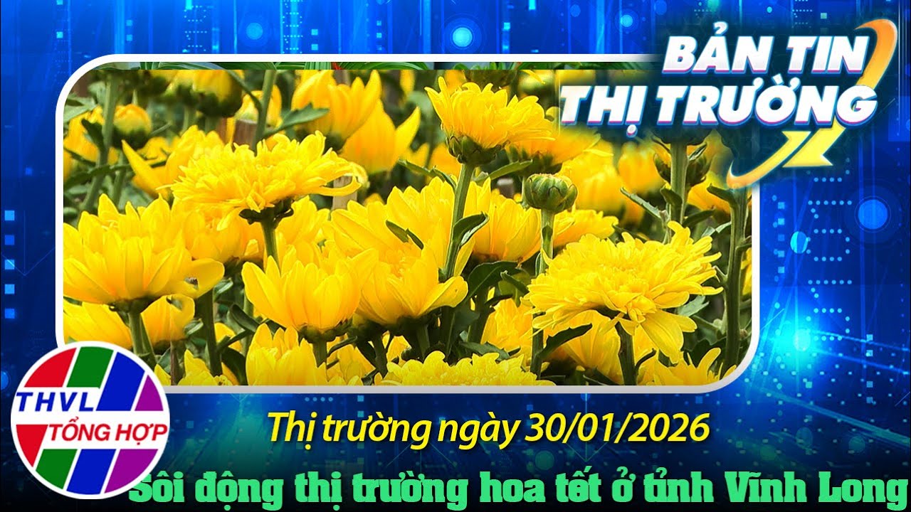Bản tin thị trường (30/01/2026): Sôi động thị trường hoa tết nông hộ ở tỉnh Vĩnh Long