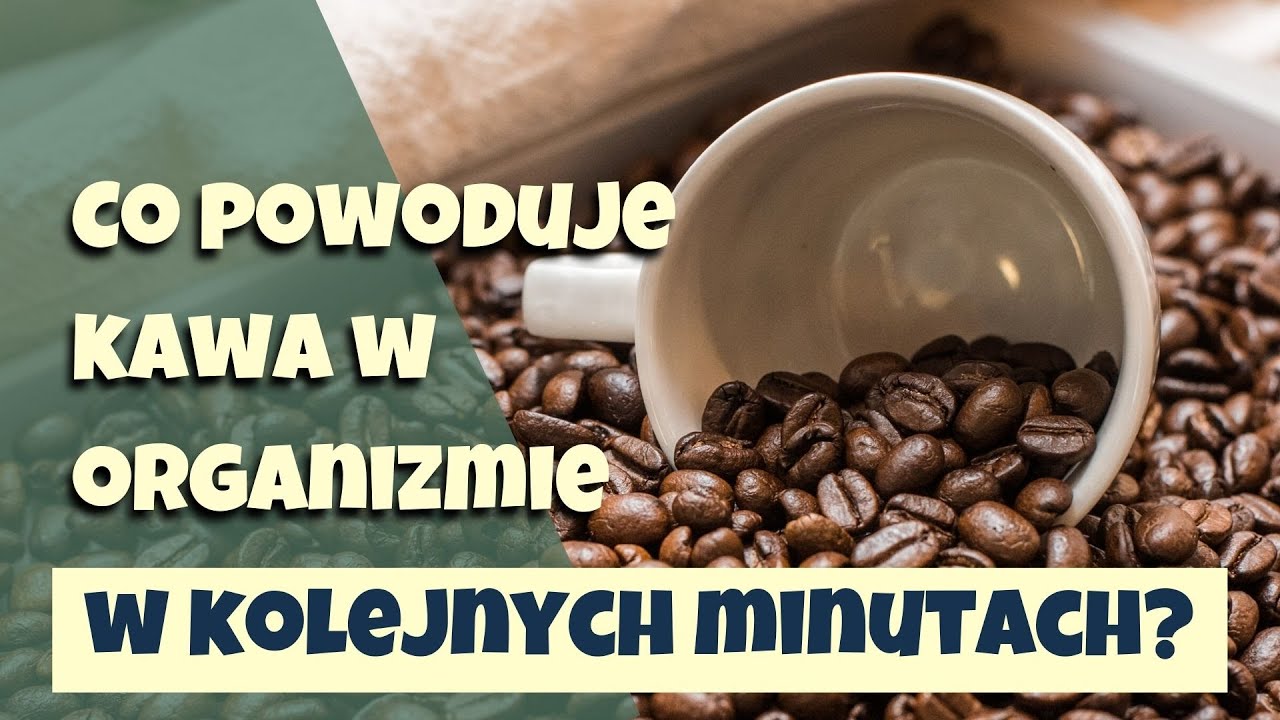 Jaki jest WPŁYW KAWY na organizm człowieka?