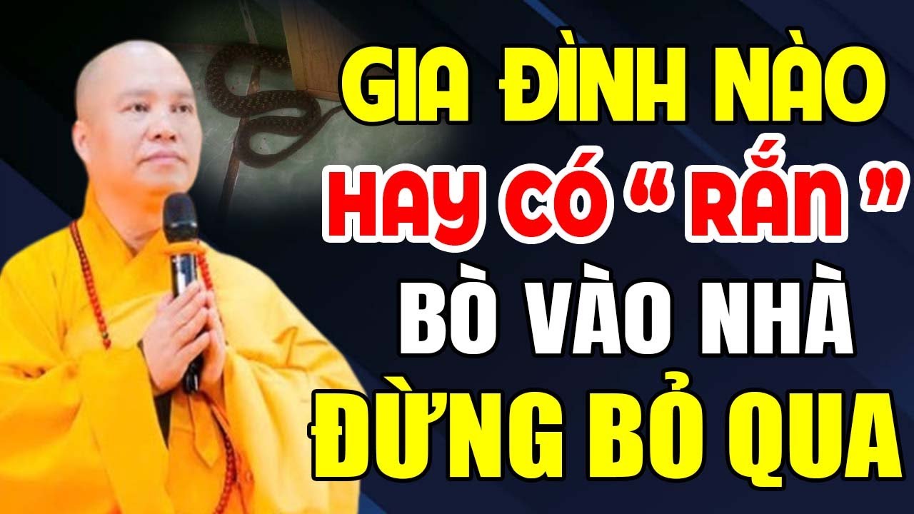 GIA ĐÌNH NÀO HAY CÓ RẮN BÒ VÀO NHÀ ĐỪNG BỎ QUA BÀI PHÁP NÀY ( RẤT QUAN TRỌNG ) |Thầy Thích Đạo Thịnh