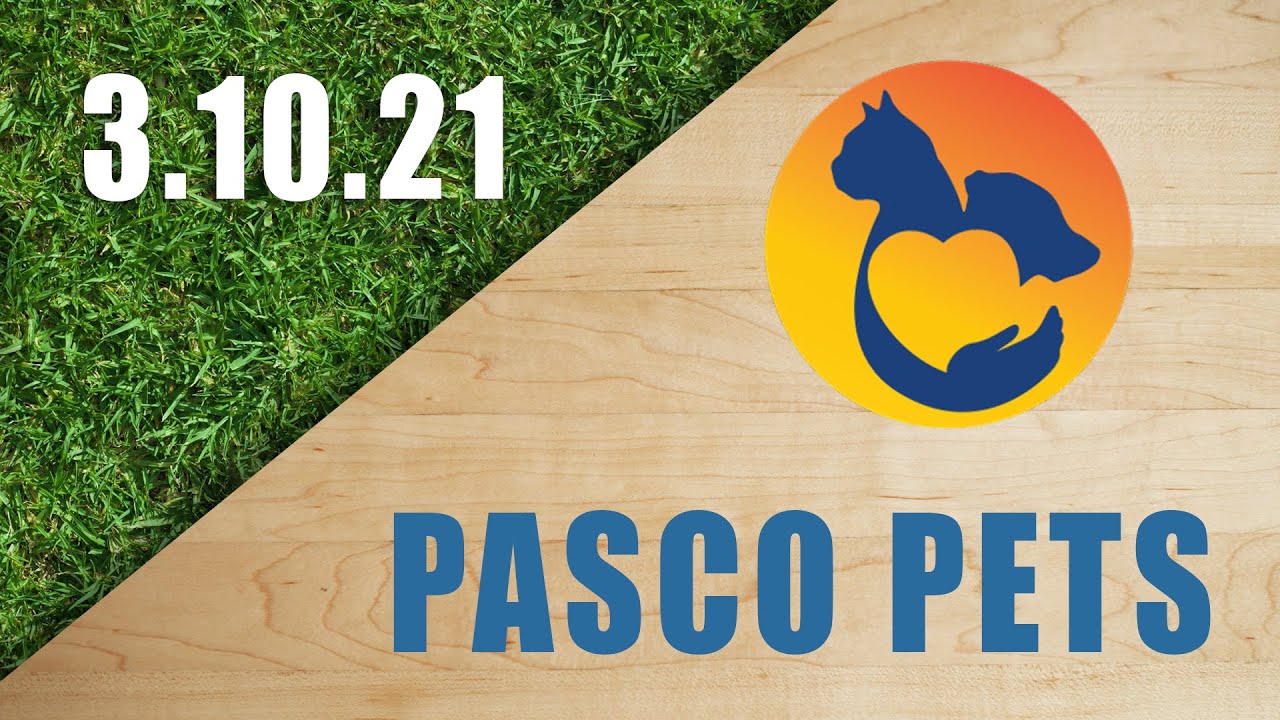 Pasco Pets - 3.10.21