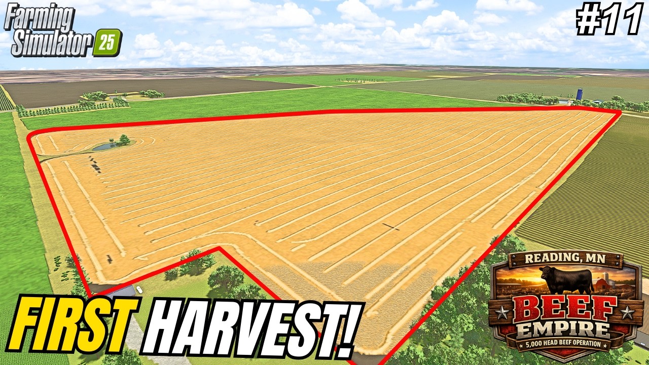 FIRST OAT HARVEST ON THE NEW $20,000,000 MEGA BEEF FARM! | Reading, MN | Farming Simulator 25 #11