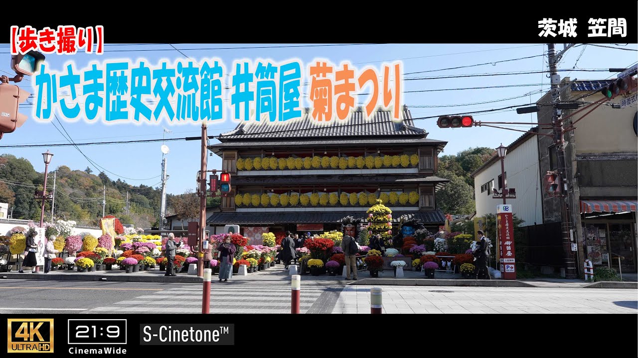 【歩き撮り】2025 かさま歴史交流館 井筒屋 菊まつり@茨城 笠間 ４K  (21:9)  Ibaragi walking video
