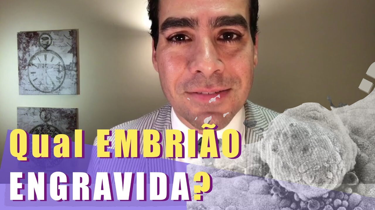 Qual embrião preciso ter para engravidar? - Dúvidas de Fertilidade!