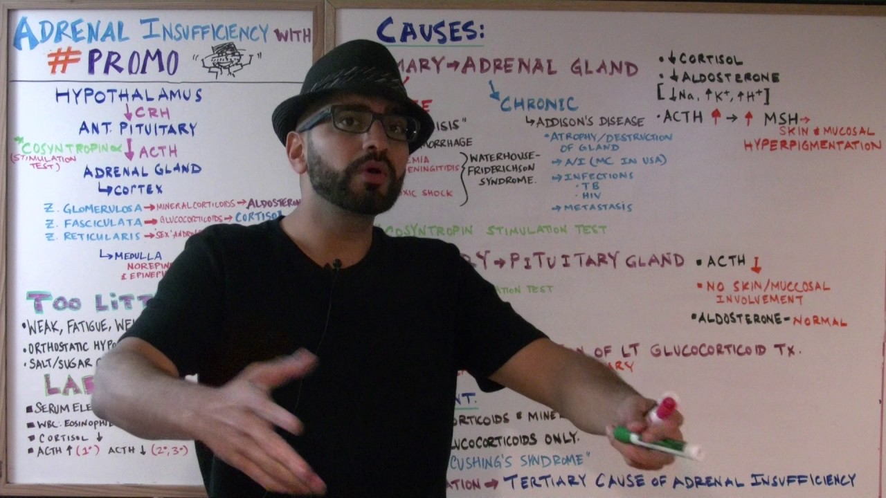 Cortisol hormone Part 3: Adrenal Insufficiency - Endocrine #15 // Med School Monday's with #PROMO