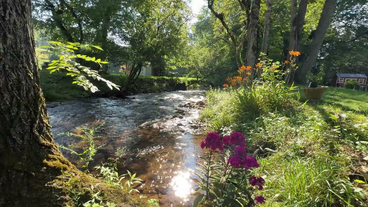 Nature Soundscapes