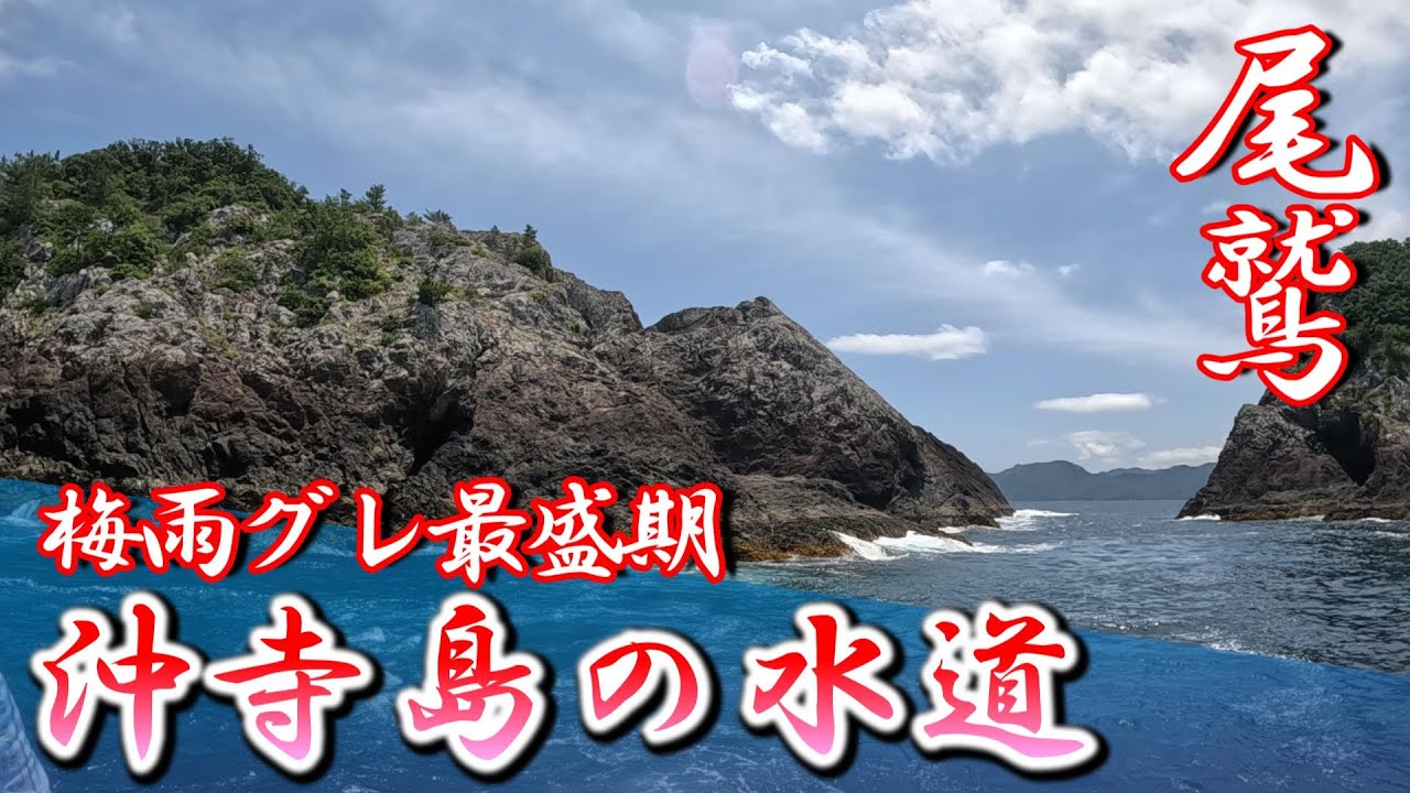 【梅雨グレ】狙うは尾長グレ！沖寺島の水道へ乗ってみた！