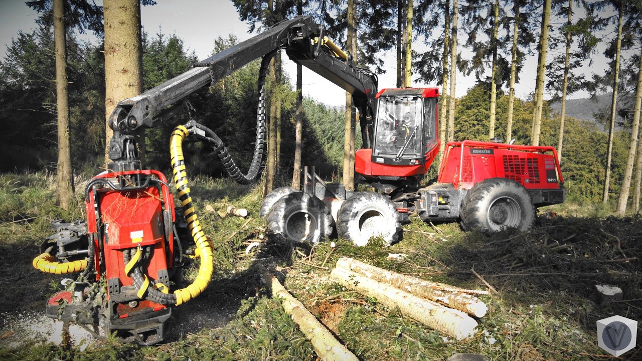 🌲 Der GIGANT! KOMATSU 941.1 Power im Fichtenbestand [SOUND] | Forstbetrieb Rautenberg [4K]
