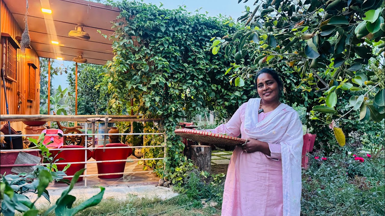 సరదాగా మాట్లాడుకుంటూ మన ఫార్మ్ లో బంగారం హార్వేట్ చేద్దాము రండి ….