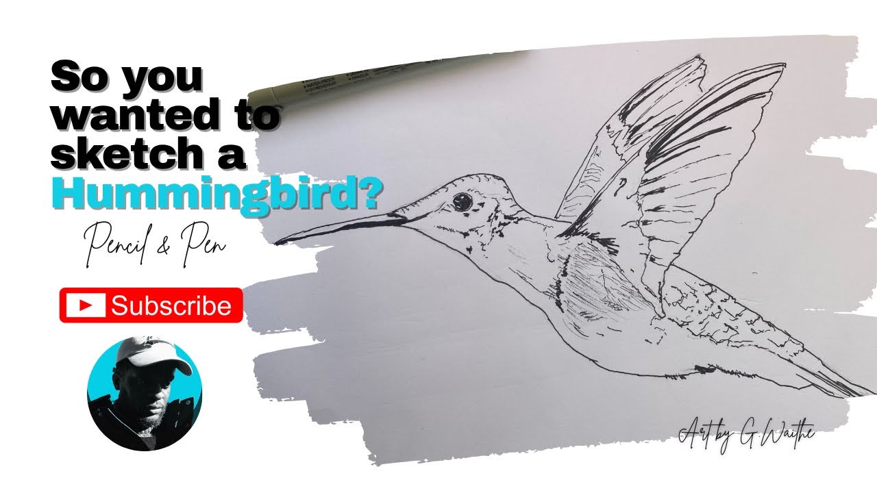 Learn how to Sketch a Hummingbird, Easy basic drawing. #sketchbook
