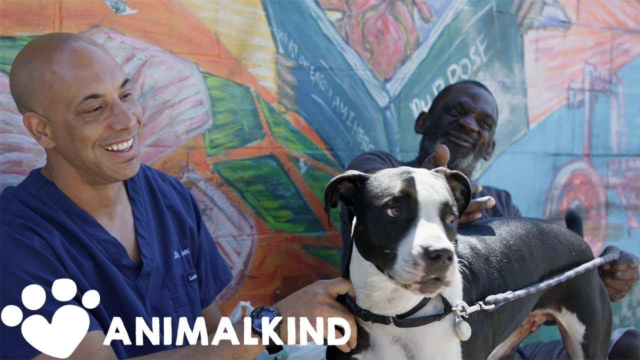 Veterinarian helps homeless pet owners for free | Animalkind