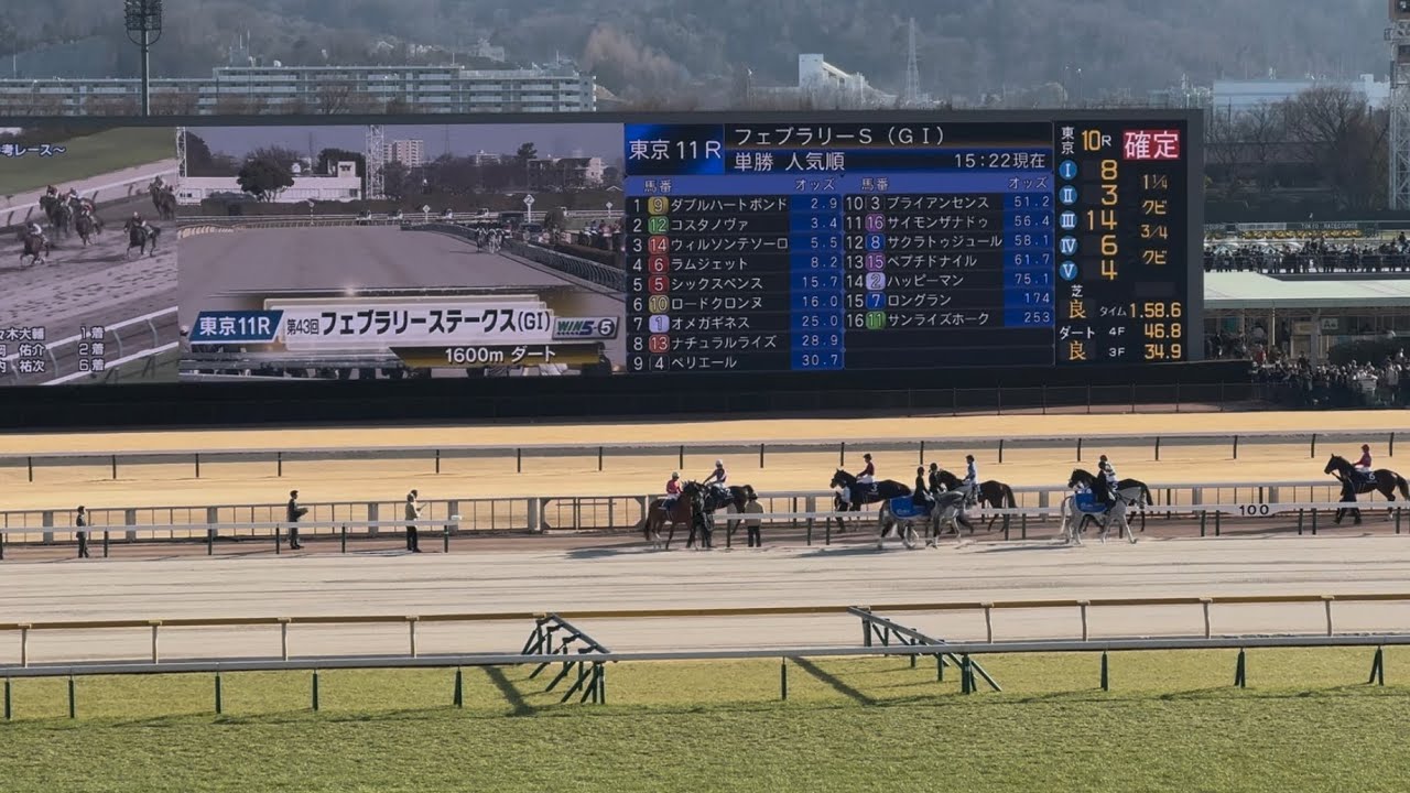 【フェブラリーS 2026】今年初のG1本馬場入場【現地撮影】