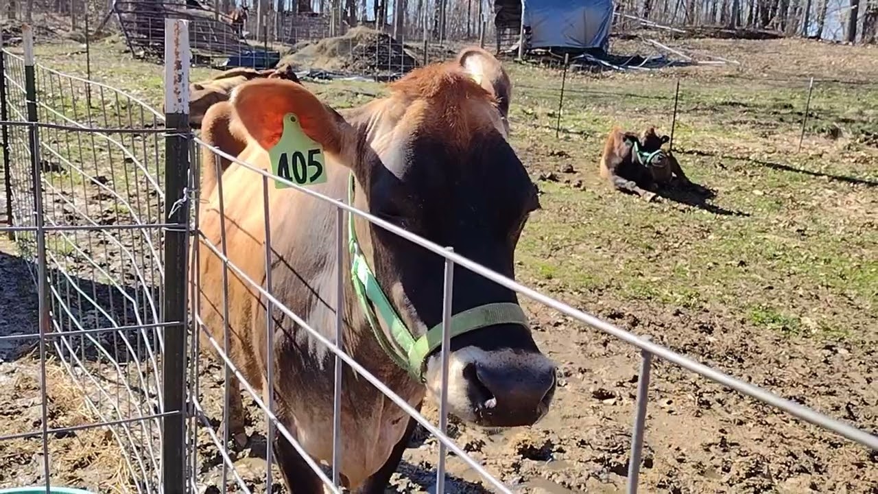 Наша первая часть воскресенья будет посвящена прекрасному дню и работе.