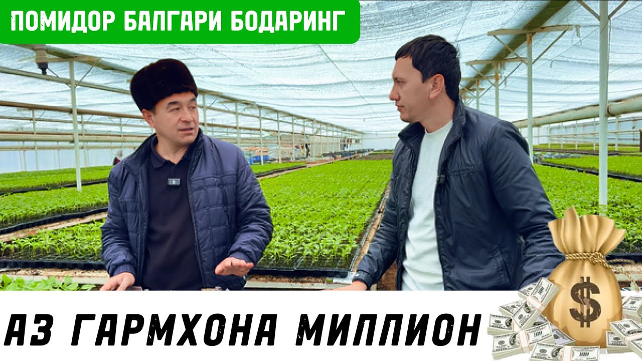 Нихоли Турсунзода интихоби дехконон