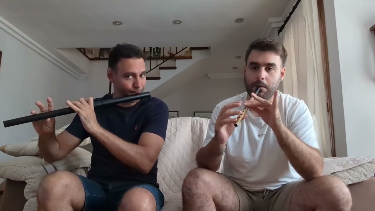 The Lochaber Badger / Donnybrook Fair (Irish flute & tin whistle)