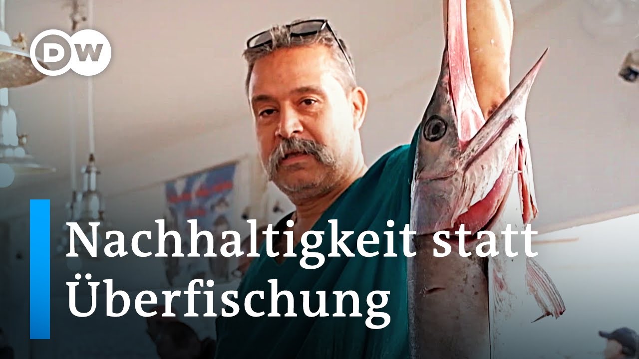 Fischen ohne Beifang: Nachhaltige Fischerei in Tunesien | Global Ideas