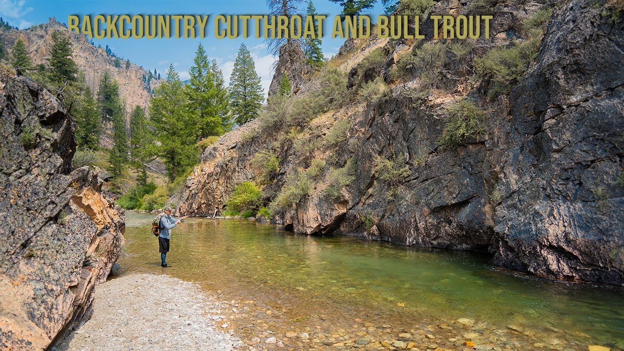 My FAVORITE Creek To Trout Fish! (Backcountry Fly Fishing)