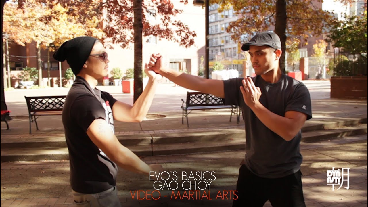 Kungfu Hammer Fist - Gao Choi | Evo's Basics