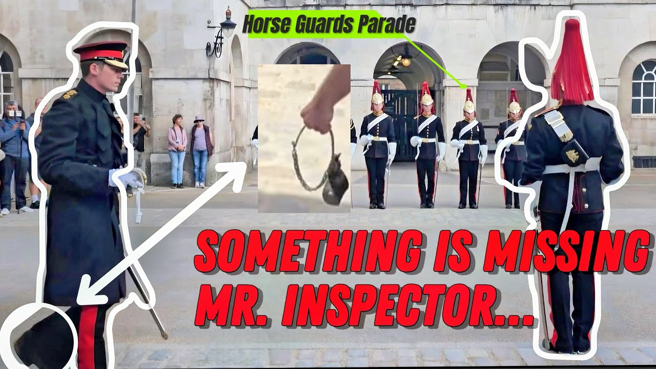 You Won't Believe the SHOCKING Royal Horse Guards INSPECTION
