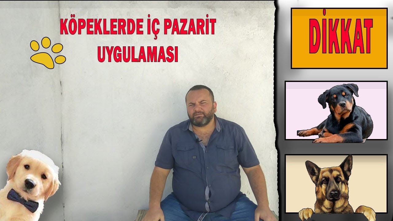 Hayvan Hastalıkları / Köpeklerde İç Parazit Tedavisi / OAÇ TV