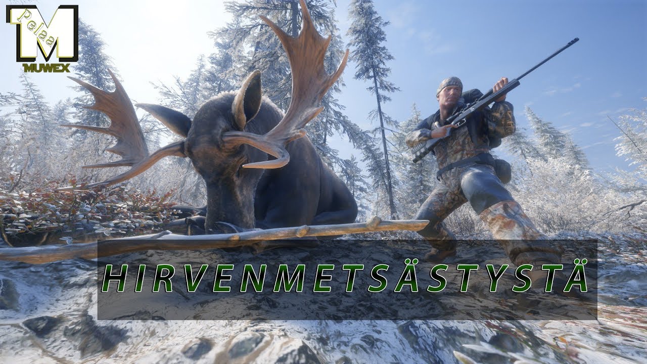 Ammutaan vain hirvi&auml;! - Hirvenmets&auml;styst&auml;! - COTW
