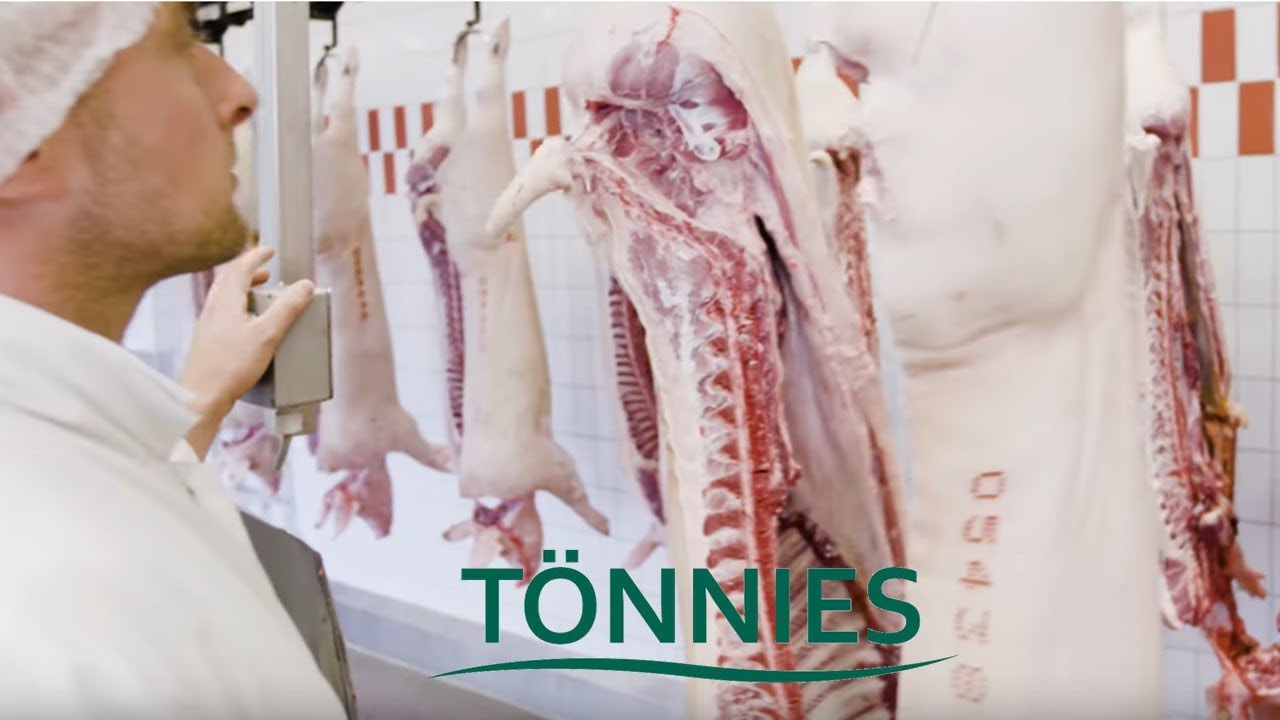 Schweinefleischexport - Lebensmittel made in Germany