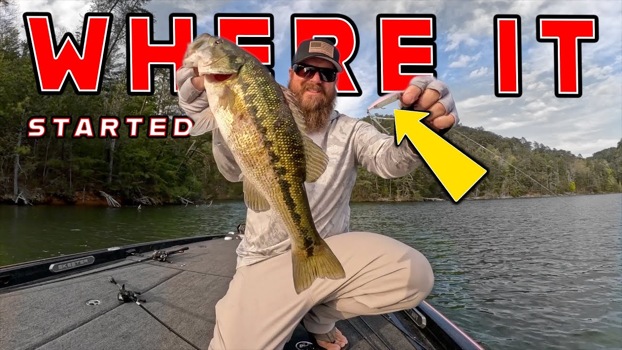 This Bait Changed My Fishing Forever! ( And Its EASY To Use! )