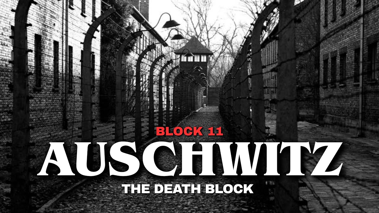 Fall Asleep To ENTIRE History of AUSCHWITZ - BLOCK 11 | The Death Block | WW2 Holocaust Documentary 