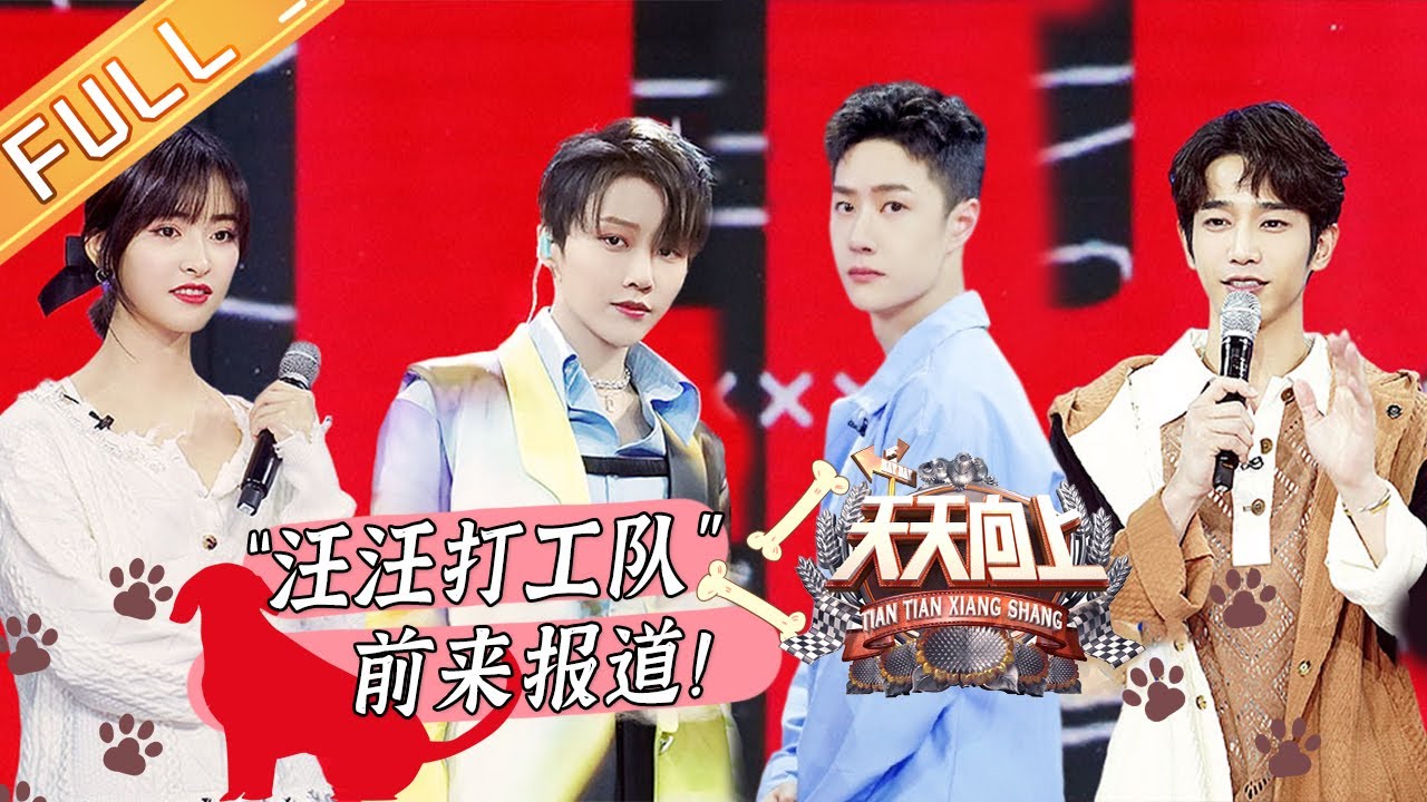 《天天向上》20210411期：“汪汪打工队”前来报道！刘雨昕沈月体验实习训犬师 Day Day Up | MGTV