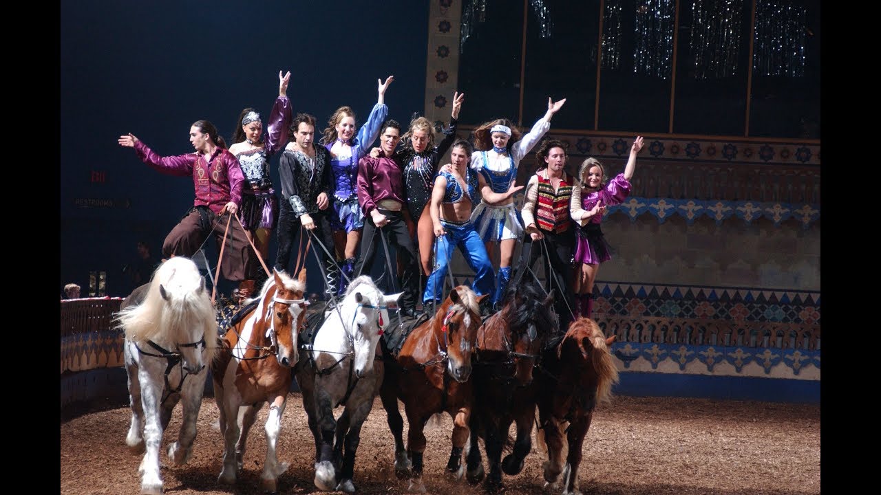 Best Extreme Trick Riders and Horses in America