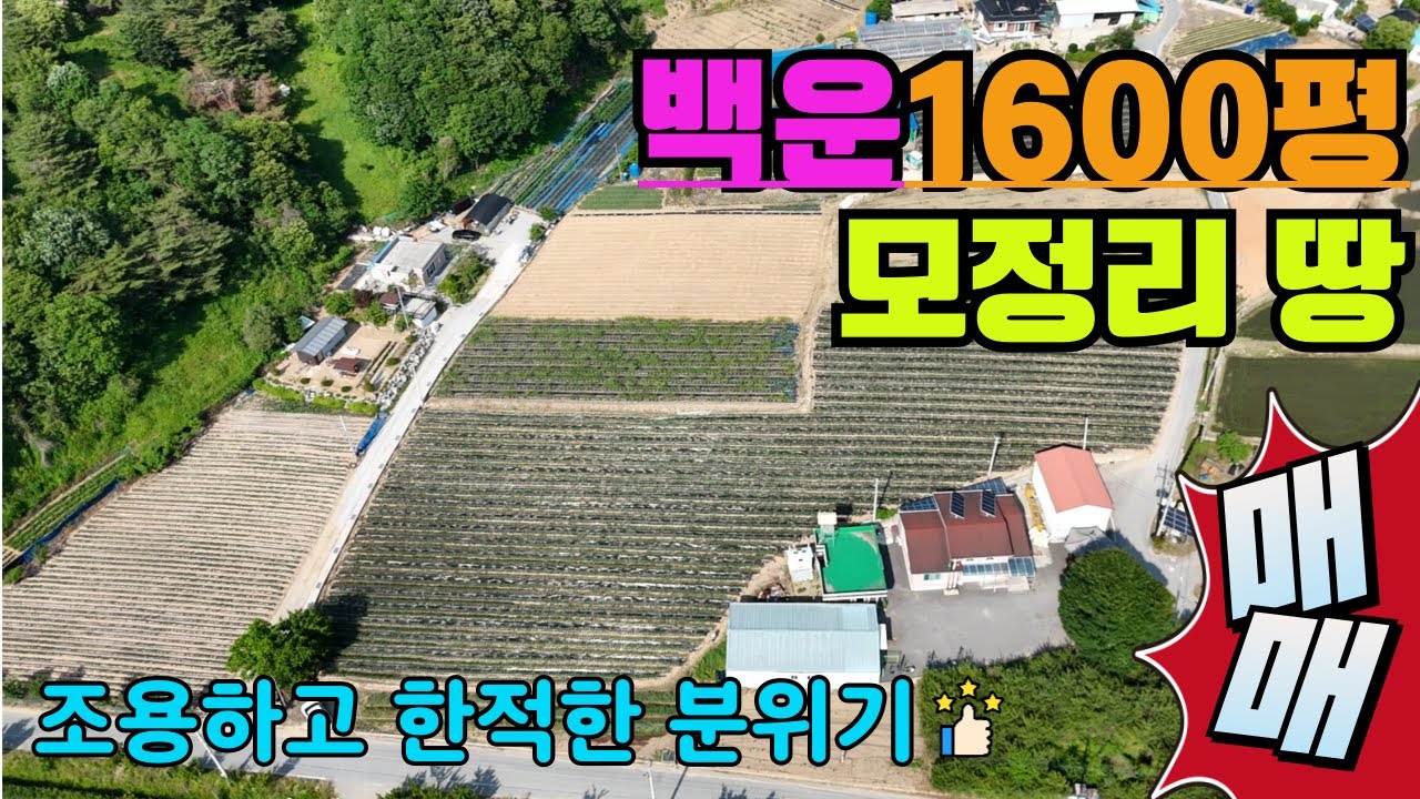 (가격내림, 더보기 참고) 제천 백운면 모정리 토지 매매| 총 2필지 1,600평 | 마을회관 옆