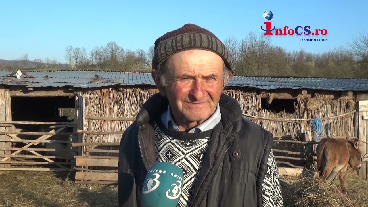 În sudul județului Caraș-Șeverin, se găsește o rasă unică de oi in România– Oaia Rațca