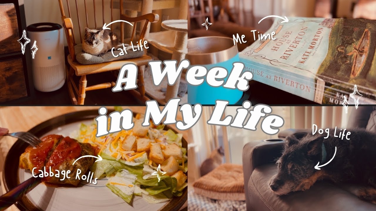 A Week in My Life | Cooking Cabbage Rolls | Cozy desert fall rain | Slow Life