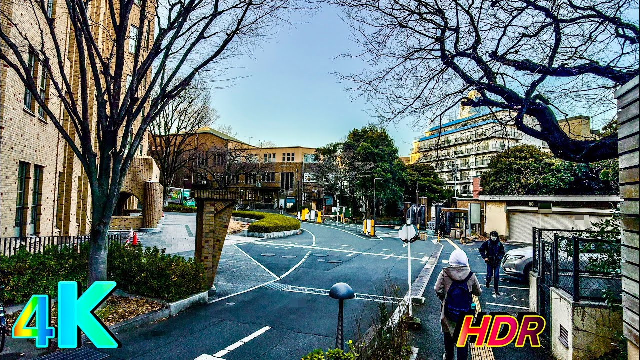 Exploring Nezu, Tokyo: Japan’s Historic Neighborhood | 4K HDR walking tour