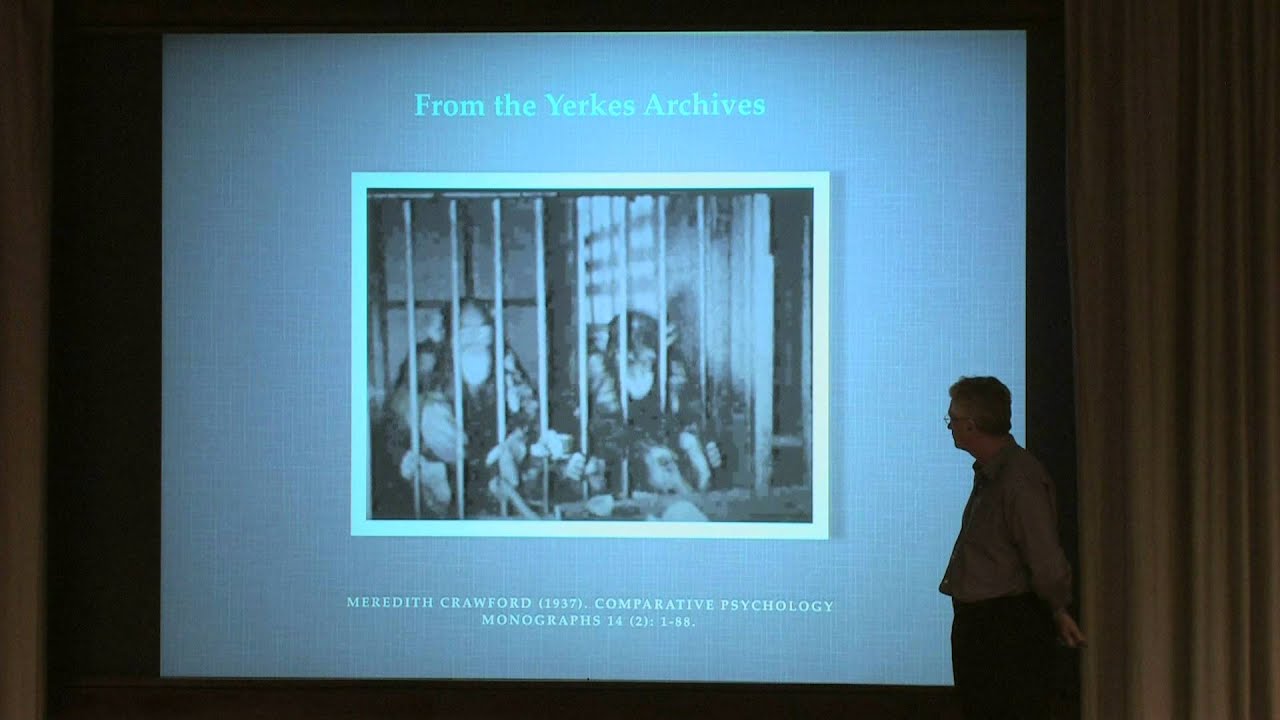 TEDxEmory - Dr  Frans De Waal - Monkey Business 101, How Animals Cooperate