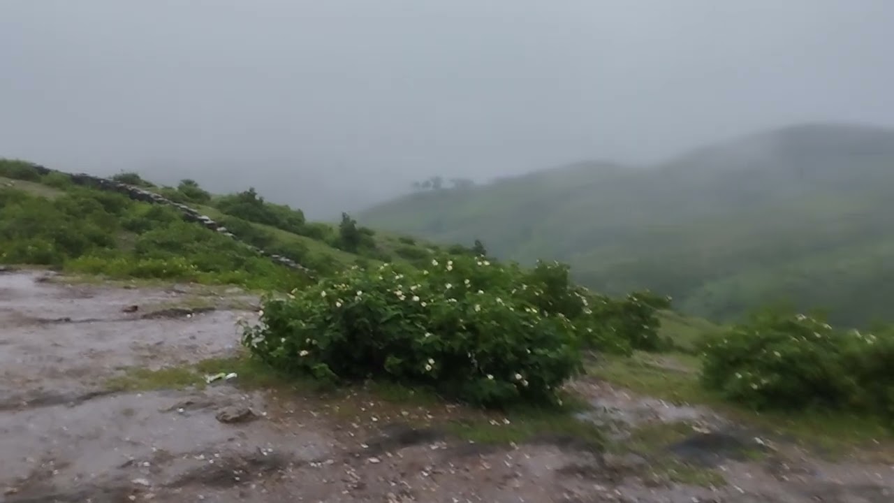 #Raitahills