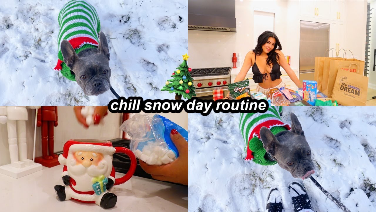 chill snow day routine + grocery haul | vlogmas day 18