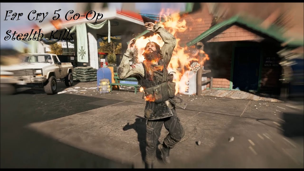 Far Cry 5 Co op Stealth Kills and Funny moments