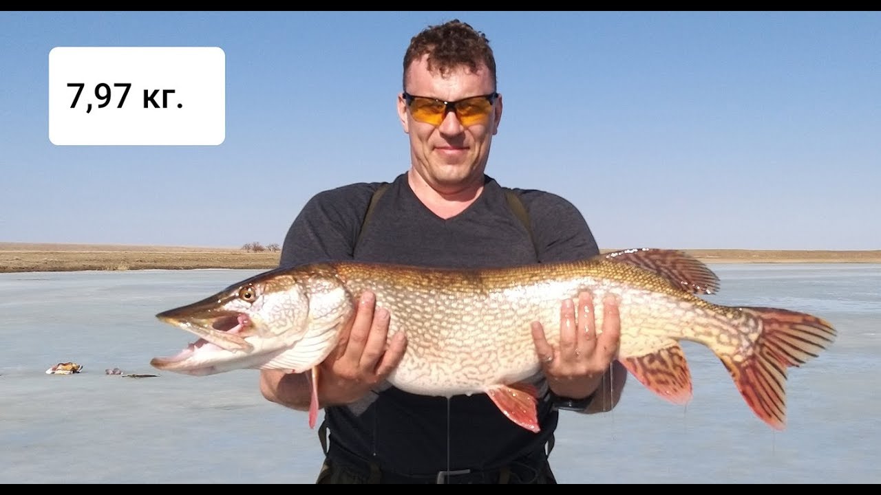 Иргиз. Борьба с подводными монстрами.