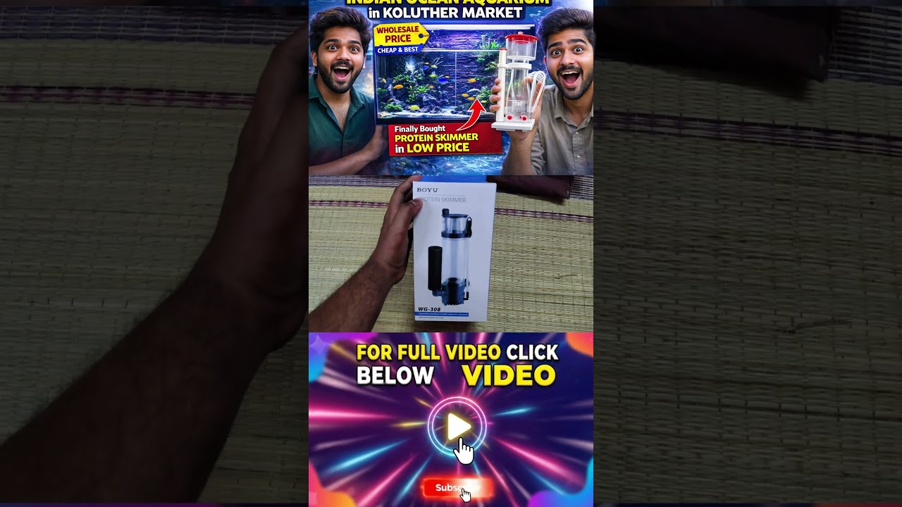 Protein Skimmer at Wholesale Price 😱🔥 | Koluthur Market 