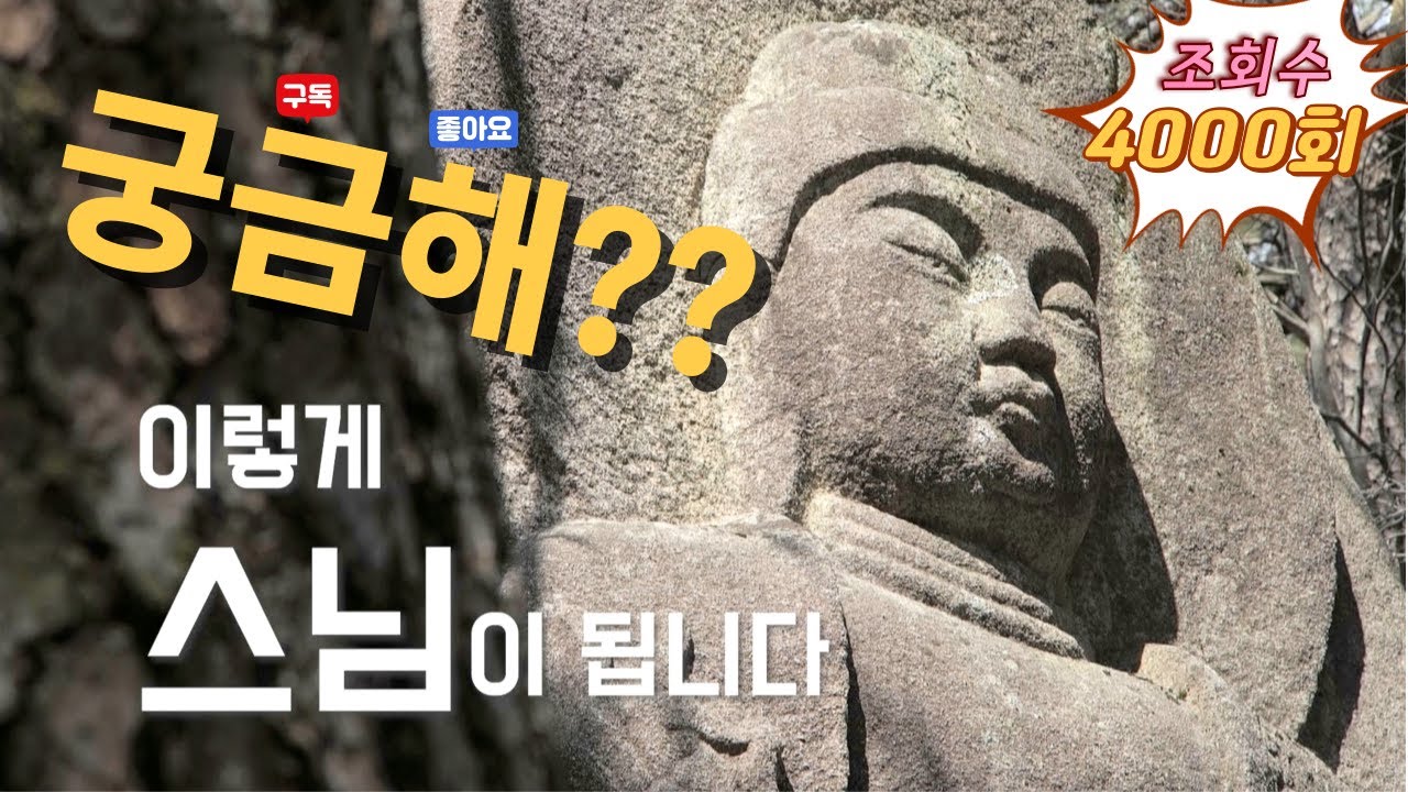 궁금해? 이렇게 스님이 됩니다. #출가 #스님 #조계종