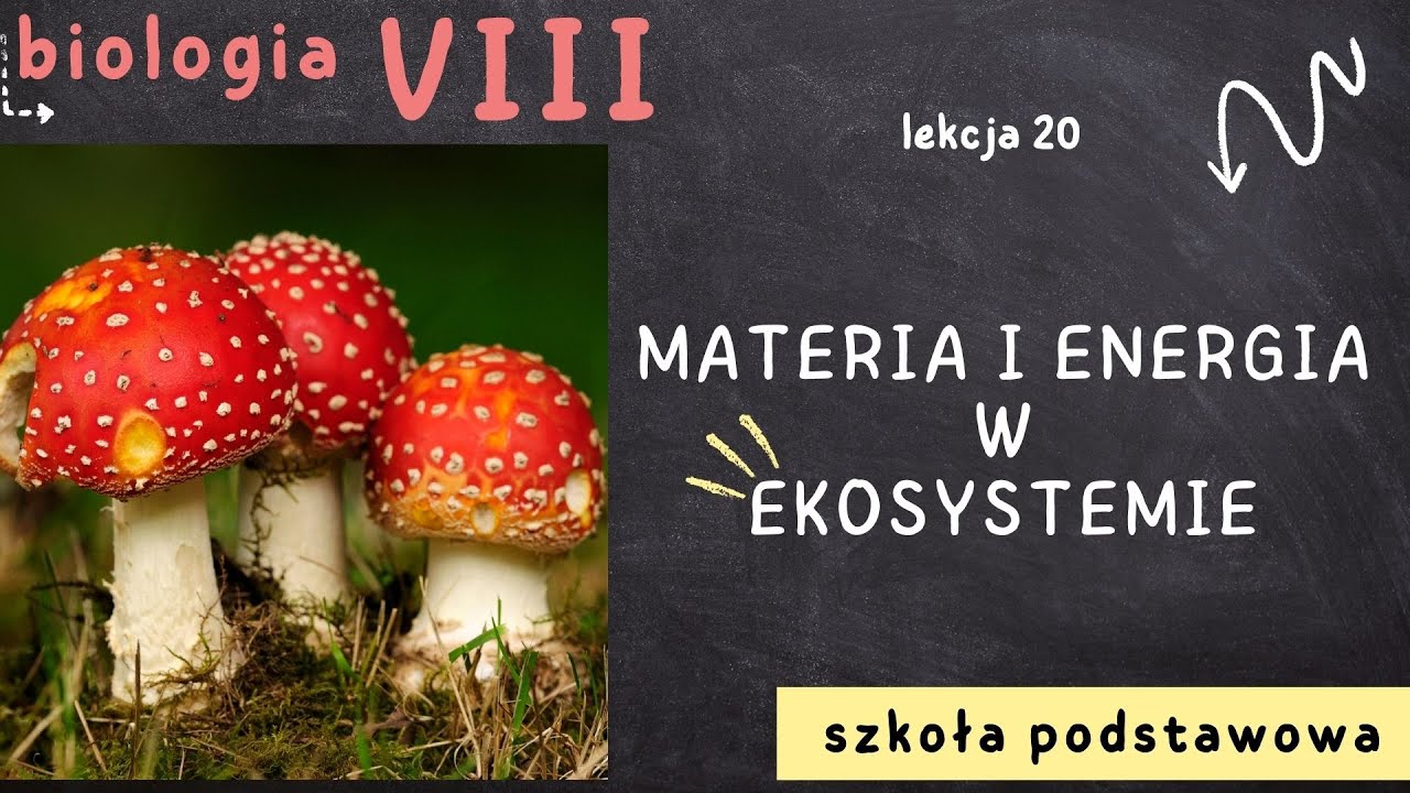 Biologia 8 [Lekcja 20 - Materia i energia w ekosystemie]