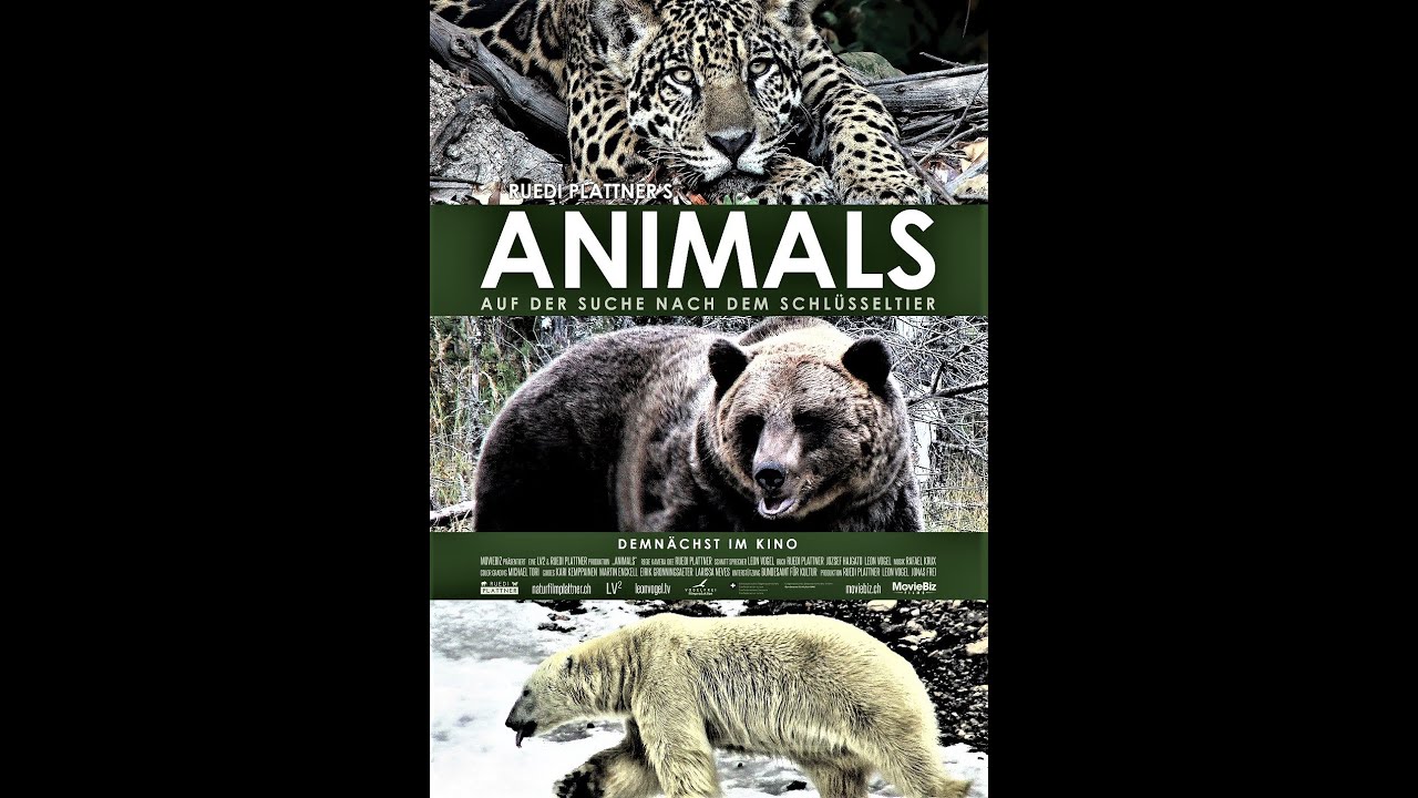 'ANIMALS' - 2022 - Damals - in Schweizer KINO's - 'auf der Suche nach dem Schlüsseltier' - 80 Min.