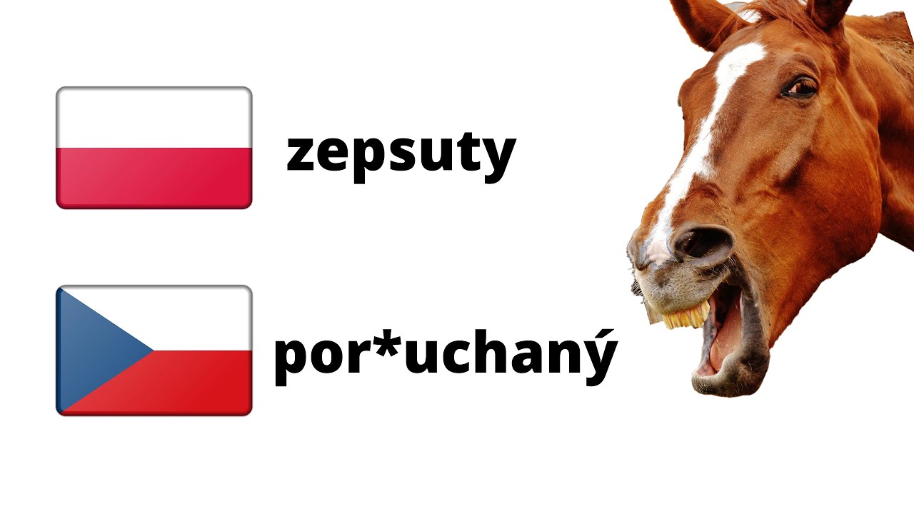 NAJŚMIESZNIEJSZE słowa po CZESKU 😂 Pozamiatali ! Śmieszne zwroty i teksty czeskie cz.2