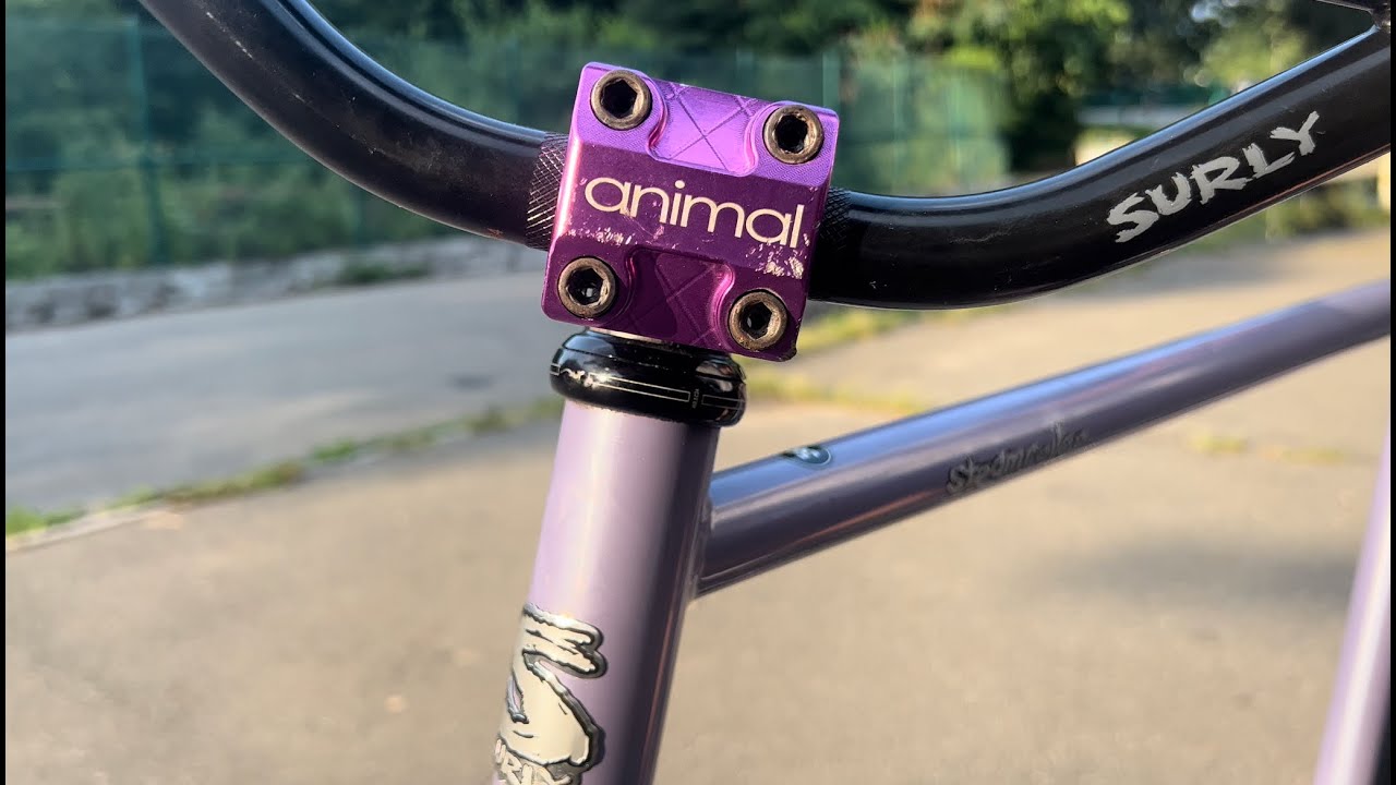 FIXED GEAR BMX BIKE?!? | Will's Surly Steamroller Review