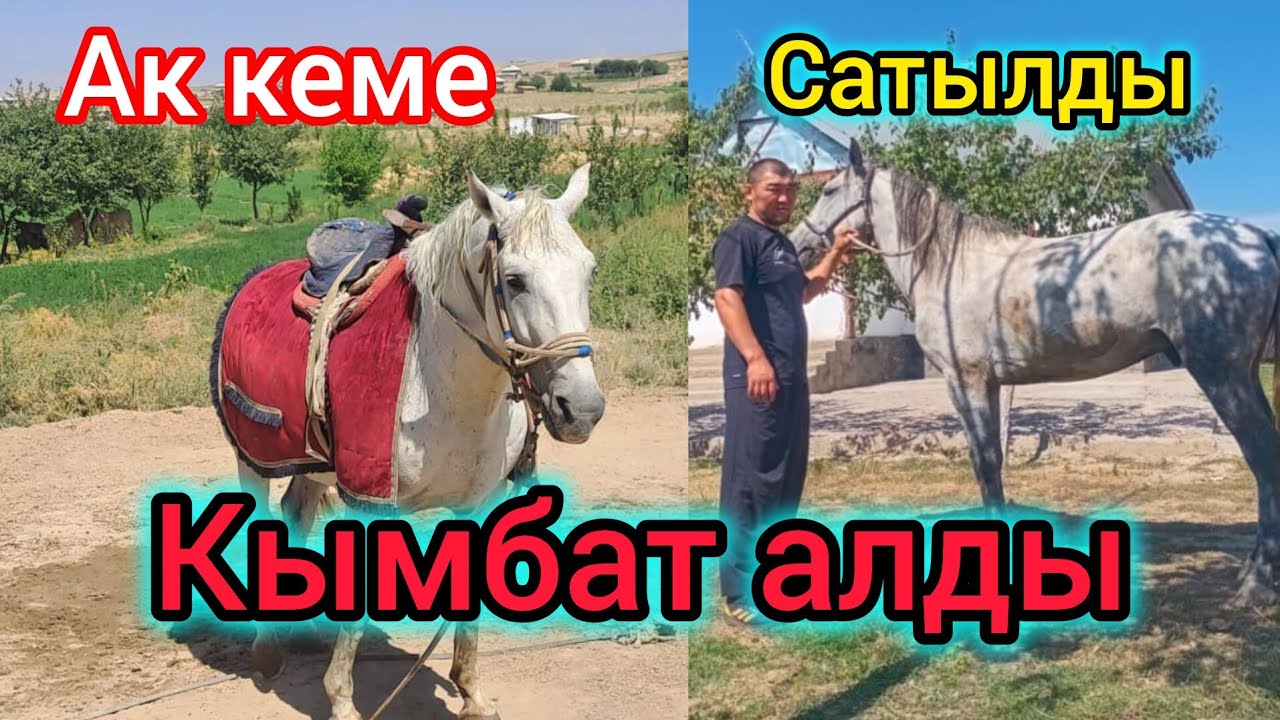 Кымбат алды