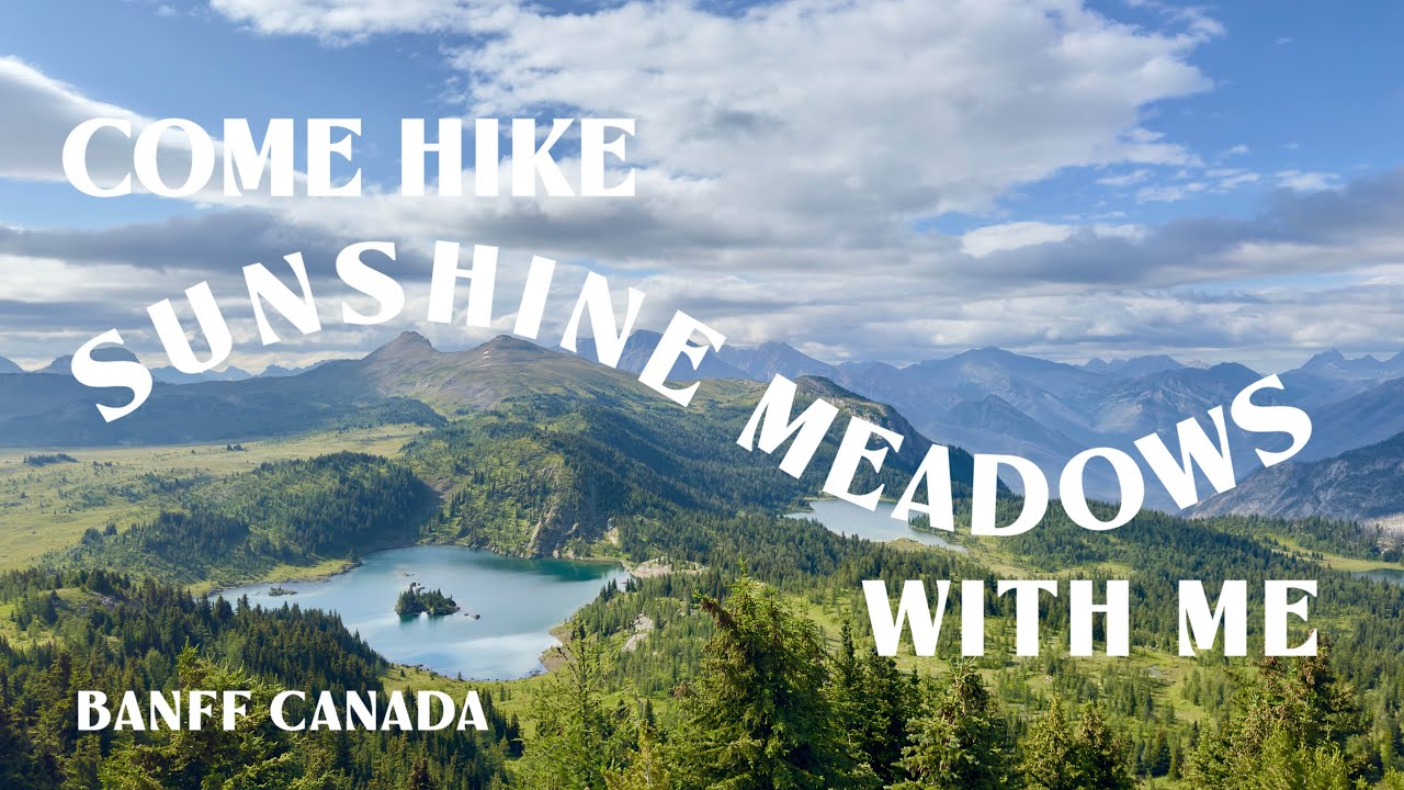 HIDDEN GEM BANFF: Hike Sunshine Meadows with me!