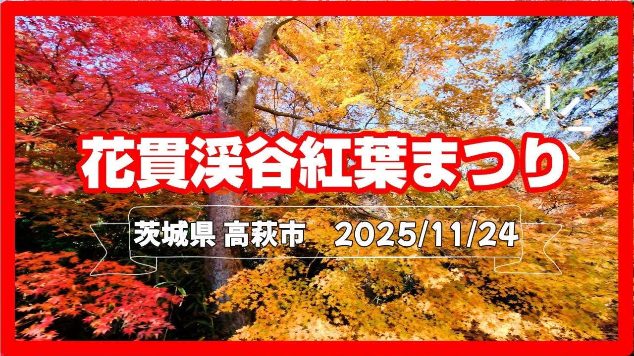 2025せせらぎを聞きながら紅葉狩りを楽しもう【花貫渓谷】(茨城県高萩市)[4K]