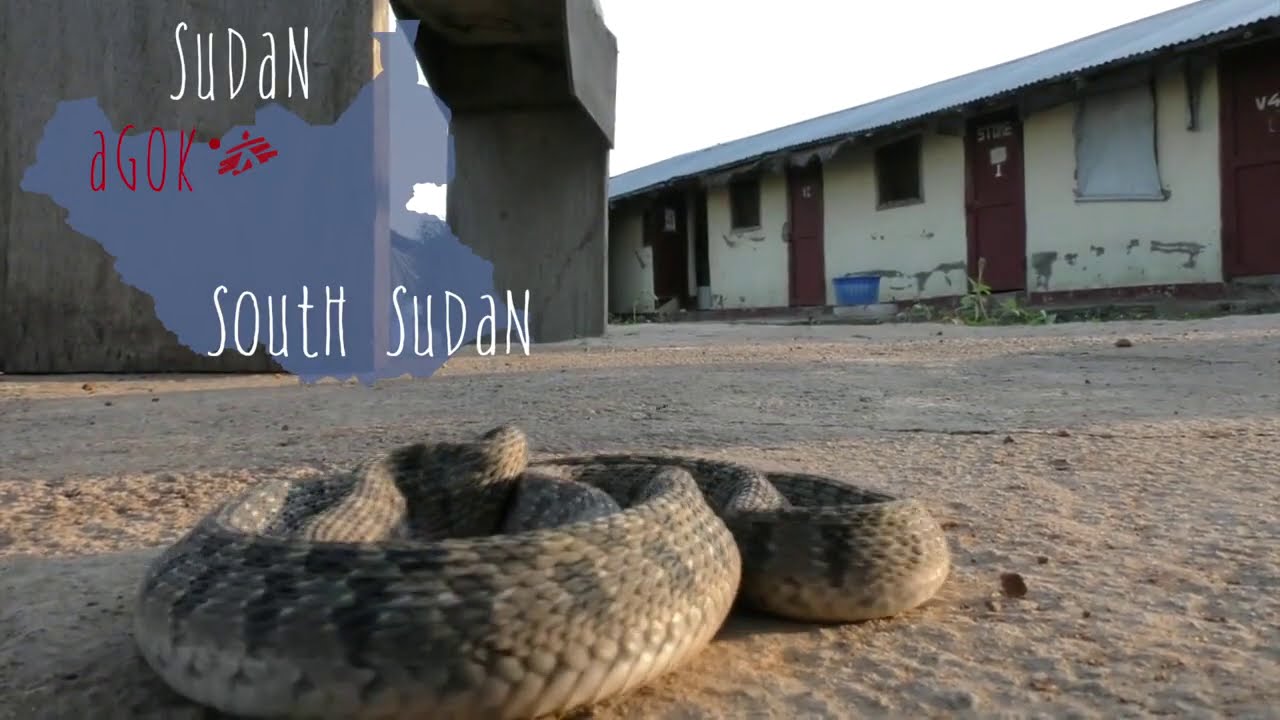 Slangenbeten in Zuid-Soedan