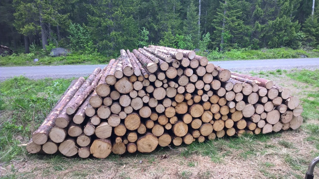 Manual chain saw first thinning - Husqvarna 543 xp / Ensiharvennusta moottorisahalla