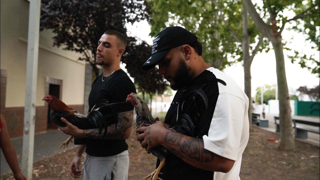 Bamba MF, Saharaui DBP & Omarsito - LY